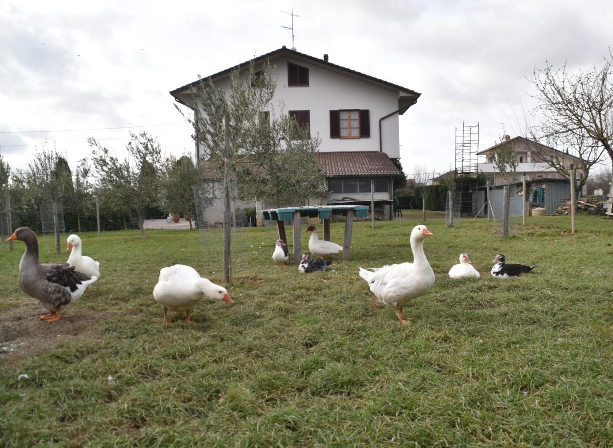 Villa Gaia Truffle Experience Sansepolcro Exteriér fotografie